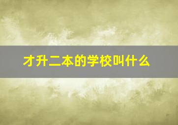 才升二本的学校叫什么