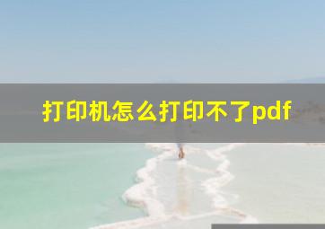 打印机怎么打印不了pdf