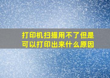 打印机扫描用不了但是可以打印出来什么原因