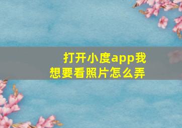 打开小度app我想要看照片怎么弄