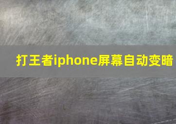 打王者iphone屏幕自动变暗