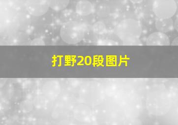 打野20段图片