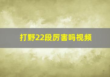 打野22段厉害吗视频