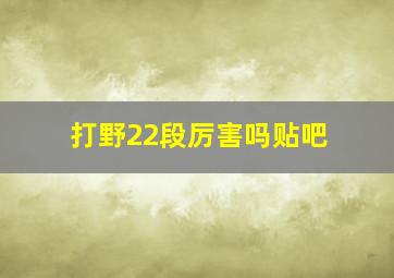 打野22段厉害吗贴吧