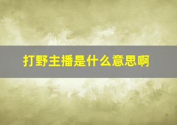 打野主播是什么意思啊