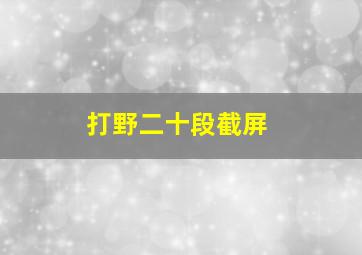 打野二十段截屏