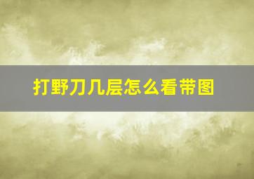 打野刀几层怎么看带图