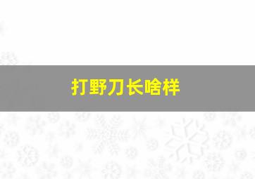 打野刀长啥样