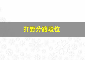 打野分路段位