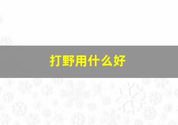 打野用什么好