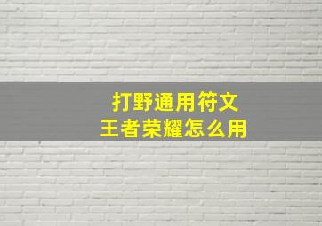 打野通用符文王者荣耀怎么用