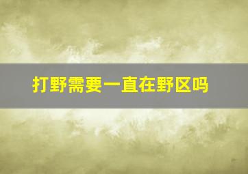 打野需要一直在野区吗