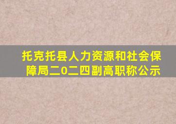 托克托县人力资源和社会保障局二0二四副高职称公示