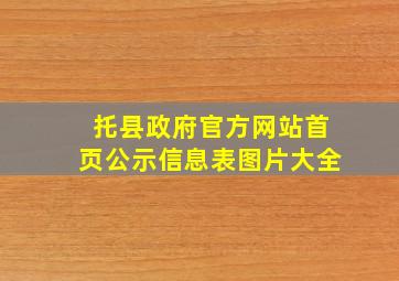 托县政府官方网站首页公示信息表图片大全