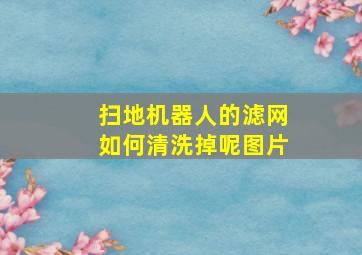 扫地机器人的滤网如何清洗掉呢图片