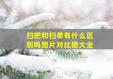 扫把和扫帚有什么区别吗图片对比图大全