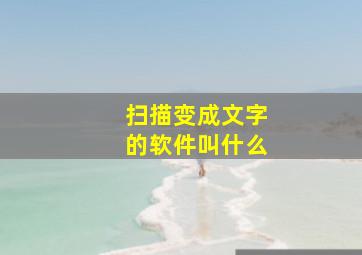 扫描变成文字的软件叫什么