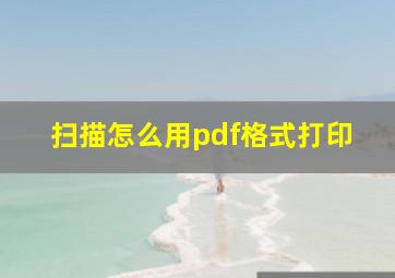 扫描怎么用pdf格式打印