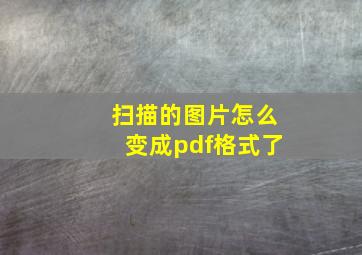 扫描的图片怎么变成pdf格式了