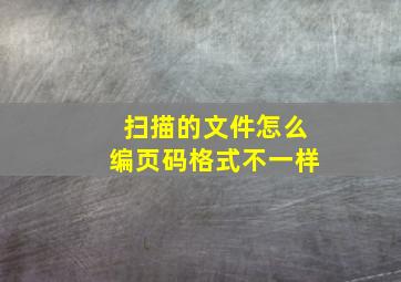 扫描的文件怎么编页码格式不一样