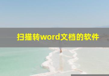 扫描转word文档的软件