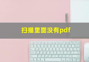 扫描里面没有pdf