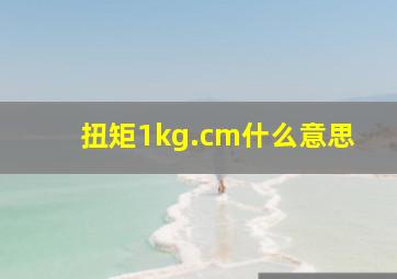 扭矩1kg.cm什么意思