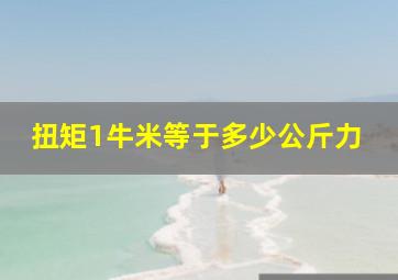 扭矩1牛米等于多少公斤力