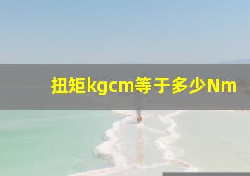 扭矩kgcm等于多少Nm