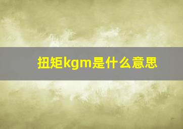 扭矩kgm是什么意思