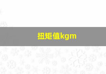 扭矩值kgm