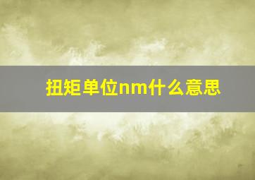 扭矩单位nm什么意思