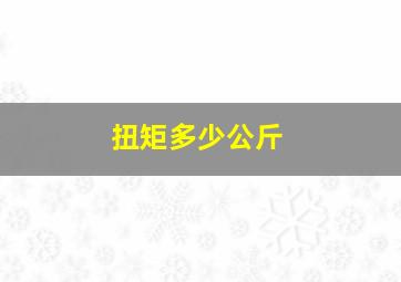 扭矩多少公斤