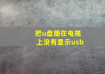 把u盘插在电视上没有显示usb