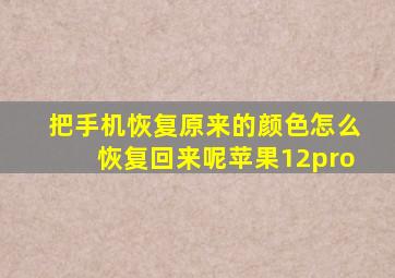 把手机恢复原来的颜色怎么恢复回来呢苹果12pro