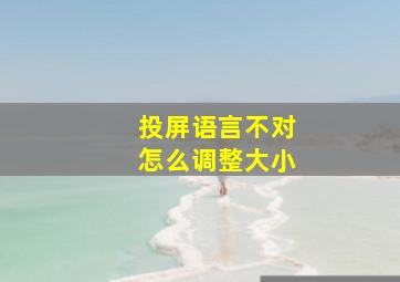 投屏语言不对怎么调整大小