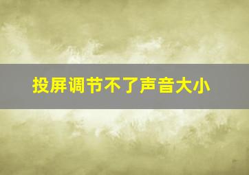 投屏调节不了声音大小