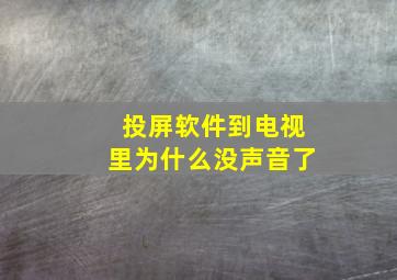 投屏软件到电视里为什么没声音了