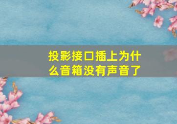 投影接口插上为什么音箱没有声音了