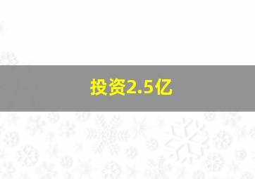 投资2.5亿