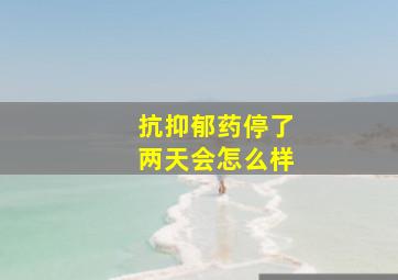 抗抑郁药停了两天会怎么样