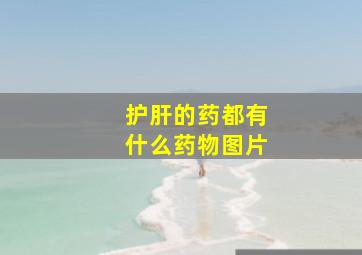 护肝的药都有什么药物图片