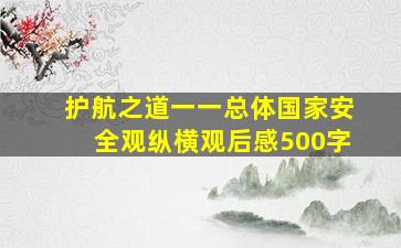 护航之道一一总体国家安全观纵横观后感500字