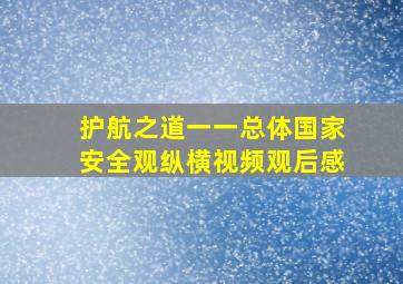 护航之道一一总体国家安全观纵横视频观后感