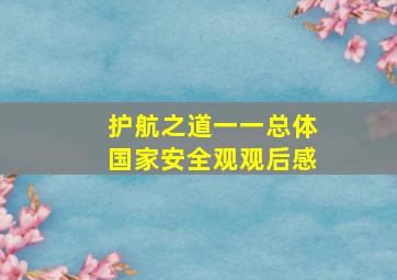 护航之道一一总体国家安全观观后感