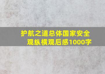 护航之道总体国家安全观纵横观后感1000字