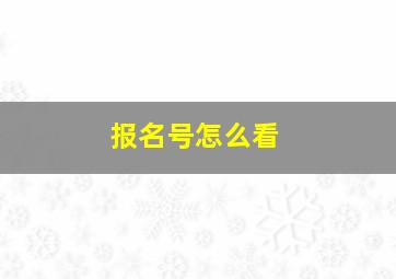 报名号怎么看