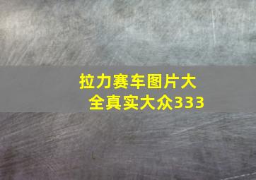 拉力赛车图片大全真实大众333