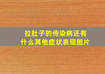 拉肚子的传染病还有什么其他症状表现图片