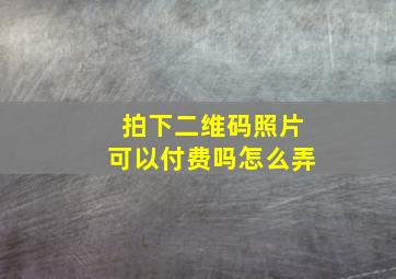 拍下二维码照片可以付费吗怎么弄